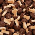 BISCUIT CHAMPIGNON CHOCOLAT X10