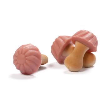 BISCUIT CHAMPIGNON CHOCOLAT FRAISE X10